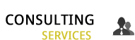 Consulting Services